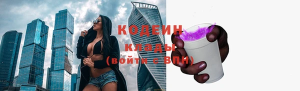 СК Волосово