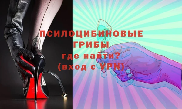 гашик Верхний Тагил