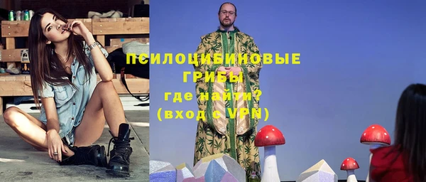 СК Волосово